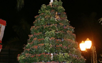 Abertura das Festividades de Natal