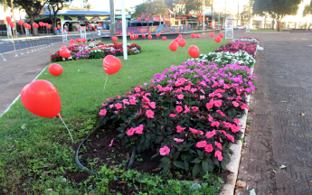 Ação especial do Dia dos Namorados - Praça Miguel Rossafa